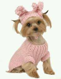 Kedi Kopek Kiyafetleri Dogcrochetedsweaters Kedi Kopek Kiyafetleri Crochet Dog Clothes Dog Sweaters Dog Clothes Patterns