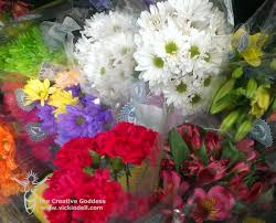 Maybe you would like to learn more about one of these? Banish The Winter Blues With The Longest Lasting Cut Flowers Vicki O Dell
