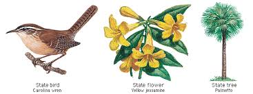 South Carolina Bird Flower And Tree State Birds Bird Flowers