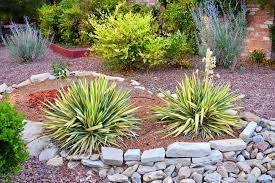 20 on the westside and in other coastal areas, and will get going toward the end of october in the san fernando valley and similar inland locations. A Beginner S Guide To Drought Tolerant Landscaping In California