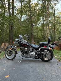 Image result for Dark Victory Red 1993 FXSTS