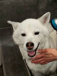 What are the best cooling mattress pads for a dorm room?