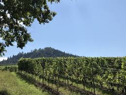 Save ferienwohnung baumgartner to your lists. Yburg Im Baden Badener Rebland In Reiselaune