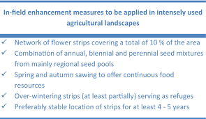 Maybe you would like to learn more about one of these? Flower Strip Networks Offer Promising Long Term Effects On Pollinator Species Richness In Intensively Cultivated Agricultural Areas Bmc Ecology Full Text