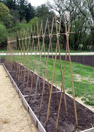 How to build a garden trellis with a piece of wood and some nails. Garden Trellis Ideas Seed Savers Exchange