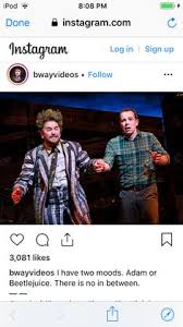 The spirit comes back from the afterlife to cause trouble, and beetlejuice becomes a hero by winning a surf contest with magic. 370 Theatre Musicals Broadway Ideas In 2021 Musicals Theatre Kid Theatre