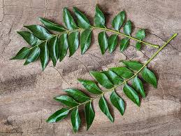 9 Curry Leaf Benefits and Uses