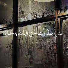 مثل المطر أنت حتى قليلك به حياة funny arabic quotes love words arabic quotes