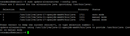 Hi i just updated java and then my ftb academy server could not find java anymore, so i googled around and a lot of forums said to change the path folder in the environment tab in advanced system settings. How To Install Java On Debian 11 Tecadmin