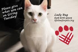 SO LONG MR. PRESIDENT