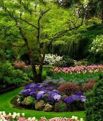 Abundant Blooms Beautiful Gardens Gorgeous Gardens Dream Garden