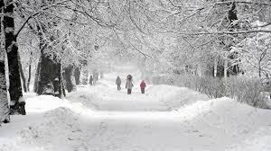 С понедельника объемы атмосферной влаги увеличатся. Pogoda V Moskve Sugroby Vyrosli Do 37 Sm In Moscow Today V Moskve Segodnya