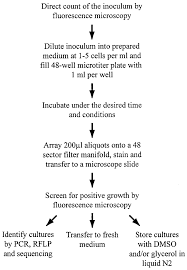 flow chart of htc procedures dmso dimethyl sulfoxide