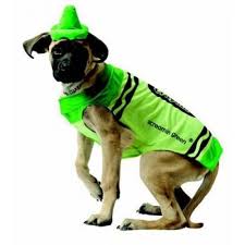 Green Crayon Dog Costume