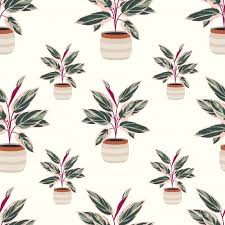 We did not find results for: Decorative House Plant Calathea Seamless Pattern Floral Watercolor Background Watercolor Flower Background Floral Banners