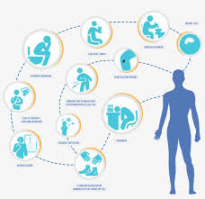 Maybe you would like to learn more about one of these? The Development Of Type 1 Diabetes Is Usually Sudden Signs And Symptoms Of Diabetes Type 2 Png Image Transparent Png Free Download On Seekpng