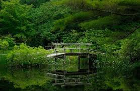 Green Forest 4k Ultra Hd Wallpaper 4k Wallpaper Net Lake Forest Nature Garden Garden In The Woods