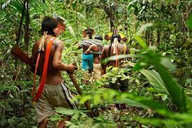The amazon spans several countries in south america, with brazil, and colombia hosting the most space. Rain Forest Warriors How Indigenous Tribes Protect The Amazon
