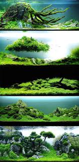 Takashi amano's brand ada (aqua design amano) has seen huge success in japan and the entire globe. Enjoy Some Aquascaping By Takashi Amano 9gag