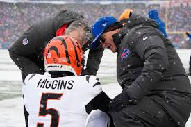 Tee Higgins injury update: Bengals WR back in concussion protocol