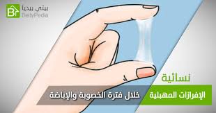 إفرازات التبويض وفترة الخصوبة بالصور بيتي بيديا
