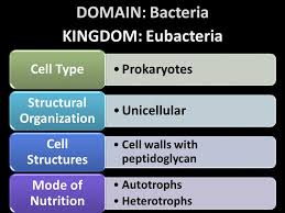 Archaea Ancient Bacteria Bacteria Regular Bacteria Eukaryota Organisms With A Nucleus Ppt Download