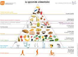 Quelle Est La Difference Entre Legume Et Feculent Les Differences