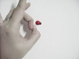 A light quick blow, jerk, or touch: Flicks Something Off Wordreference Forums