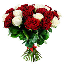 Browse 31,408 rose bouquet stock photos and images available, or search for red rose bouquet or rose bouquet white background to find more. True Love Roses Bouquet Floralbash