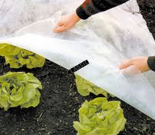 Tu l'as trouvé ou ton voile d'hivernage s'il te plait. Voile De Forcage 17g M Longueur 10m Direct Filet