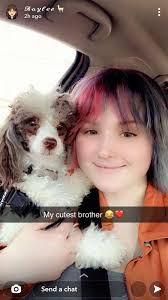 Thanks for the add everypawdy I'm Archer My mom is a mini Aussie and my dad  is a corgi