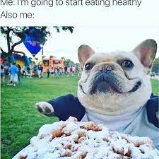 See more ideas about dog memes, funny animals, funny dogs. Can Dogs Eat Fat Online
