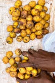 Image result for Pseudospondias microcarpa