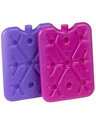Decor Lunch Box Ice Pack Small Assorted 2pk Ally S Basket Direc