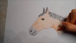Simpel Paard Tekenen Stap Voor Stap Diy Youtube