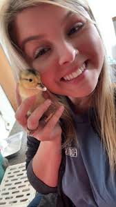 Is anyone looking for young bantam Silver Appleyard drakes? I have two 4  month olds from prize winning parents. Located in Bega Valley but can  deliver for free to Canberra.