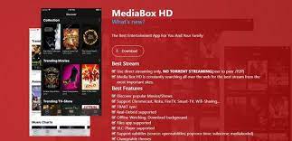 Allow and give the permissions asked by the interface Mediabox Hd Apk Download On Android Pc Devices To Watch Movies Tv Shows