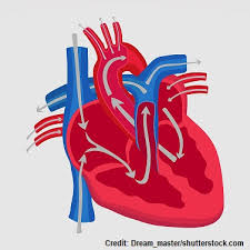 Image result for Preload