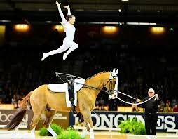 Vaulting Horse Vaulting Vaulting Equestrian Trick Riding