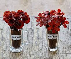 We did not find results for: Beef Jerky Flower Bouquet Unicun