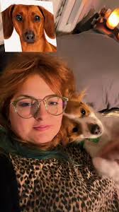 Silly pup 🐶 🤪#whatdogareyou #PupTok #puppiesoftiktok #fletcher