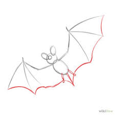 Fledermaus Malen Fledermaus Zeichnen Fledermaus Bilder Fledermaus