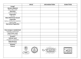 Classification Chart Viruses Archaebacteria Eubacteria