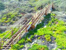 Walk south for about three minutes and you'll spy a brilliant streak of blue ascending the hill, the first of three stairways painted by muralist evelyn leigh that are often referred to as the swan. Stairwalkinginla Stairwalks From The Book Secret Stairs Of Los Angeles