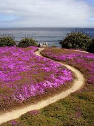 Maybe you would like to learn more about one of these? Spring In Carmel A Photo From California West Trekearth Carmel California Carmel By The Sea California Coast