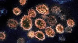 Infektionen mit hdv stellen die. Missouri Dhss Warns Of Increasing Covid 19 Delta Variant