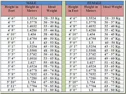 Age Height Weight Chart In Kgs Pdf Weight Bmi Chart Men Bmi