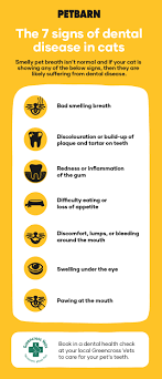 Infections in the oral cavity can occur as secondary reactions to trauma, foreign bodies in the mouth, immunosuppression or conditions such as tooth resorption. 7 Signs Of Dental Disease In Cats Bad Breath And More Petbarn Articles