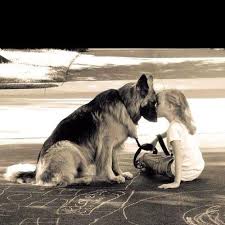 If There Are No Dogs In Heaven Then When I Die I Want To Go Where They Went Will Rogers Dogs Dog Love Cute Animals