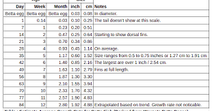 Kianmeng Org Betta Fish Growth Table